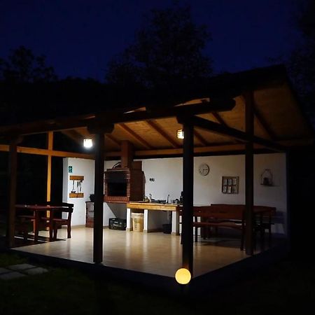Guest House Carpathia Vişeu de Sus Dış mekan fotoğraf