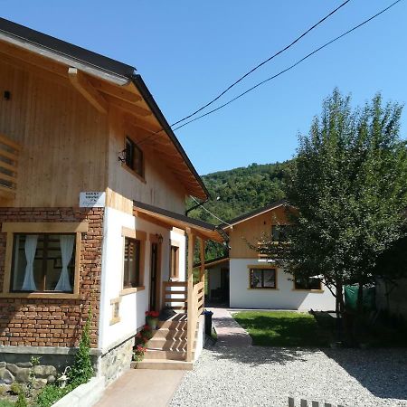 Guest House Carpathia Vişeu de Sus Dış mekan fotoğraf