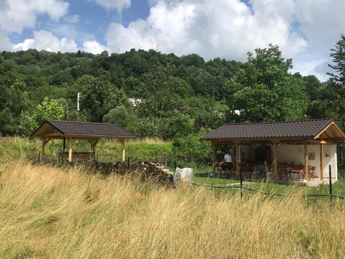 Guest House Carpathia Vişeu de Sus Dış mekan fotoğraf