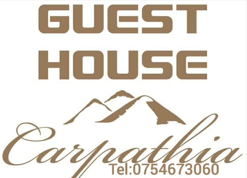 Guest House Carpathia Vişeu de Sus Dış mekan fotoğraf