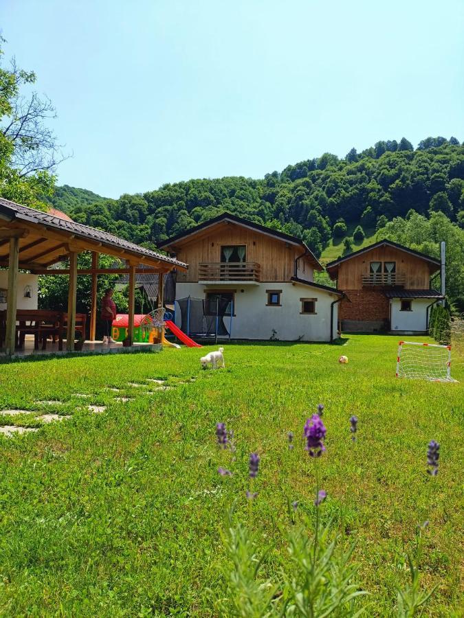 Guest House Carpathia Vişeu de Sus Dış mekan fotoğraf