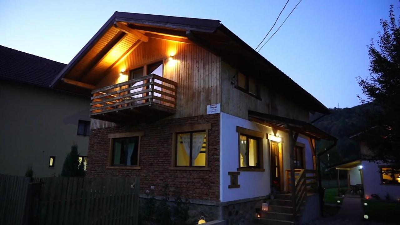 Guest House Carpathia Vişeu de Sus Dış mekan fotoğraf