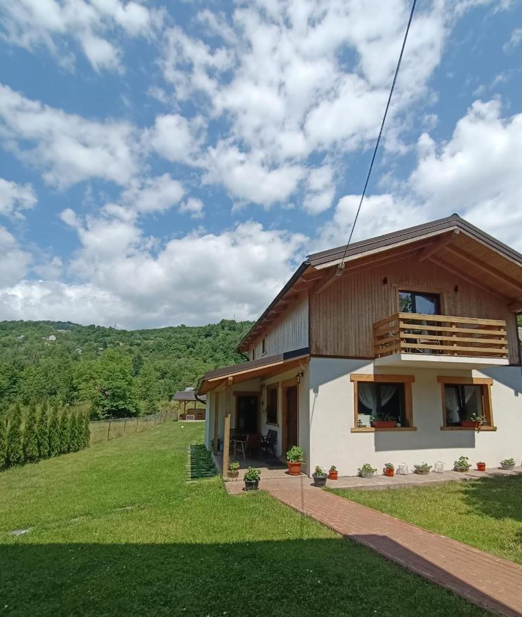 Guest House Carpathia Vişeu de Sus Dış mekan fotoğraf