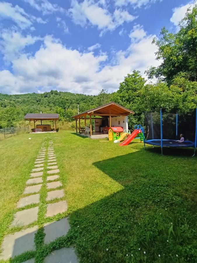 Guest House Carpathia Vişeu de Sus Dış mekan fotoğraf