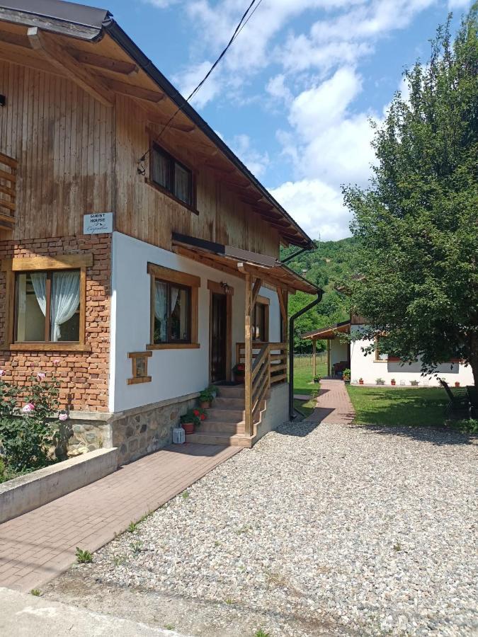 Guest House Carpathia Vişeu de Sus Dış mekan fotoğraf