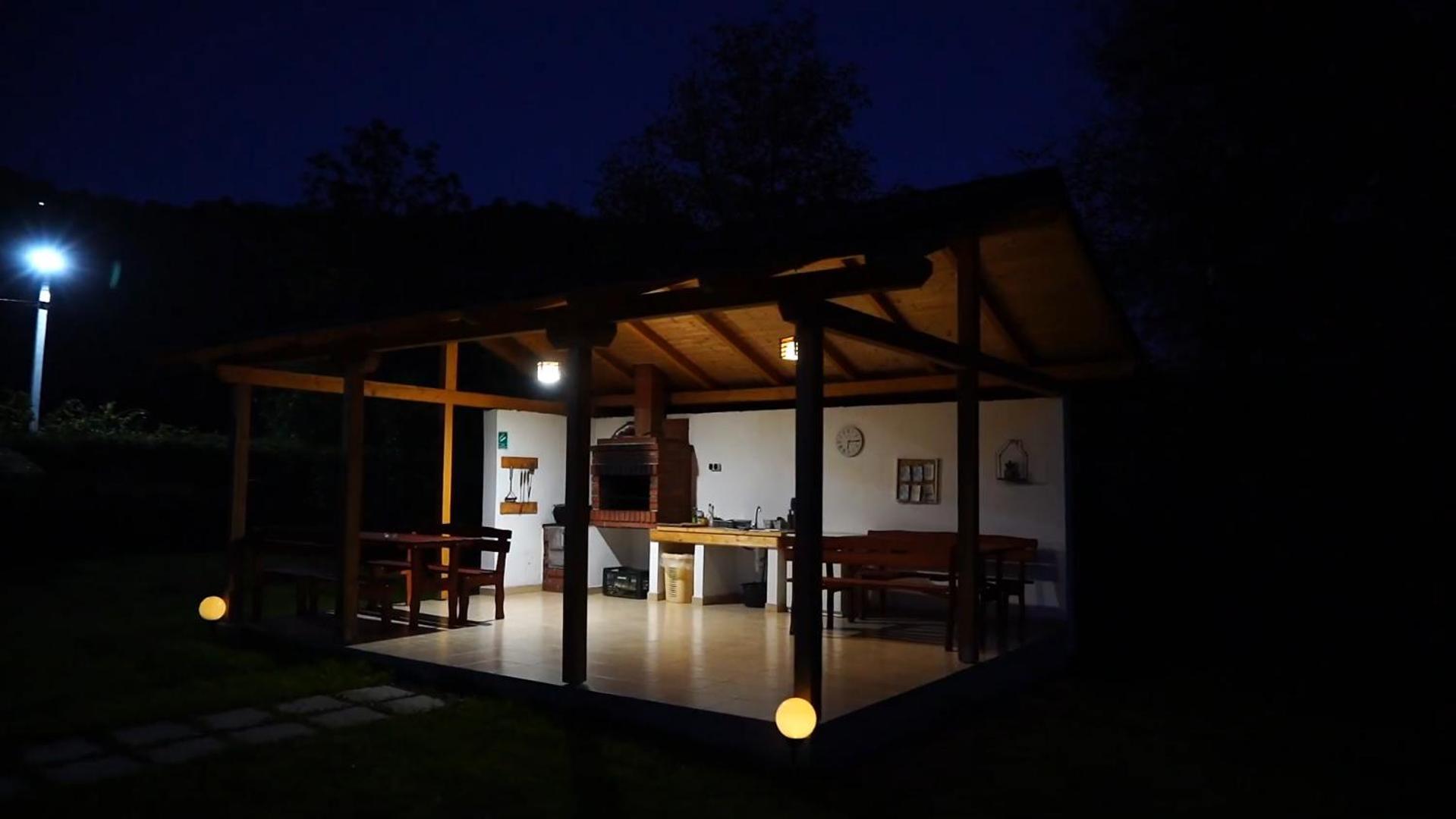 Guest House Carpathia Vişeu de Sus Dış mekan fotoğraf