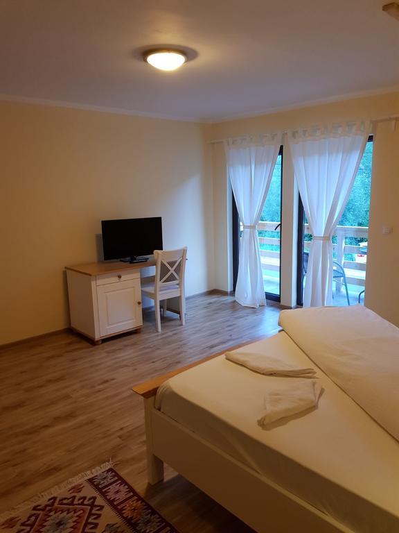 Guest House Carpathia Vişeu de Sus Dış mekan fotoğraf