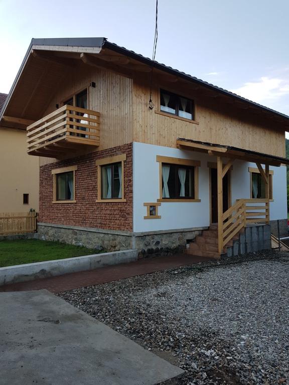 Guest House Carpathia Vişeu de Sus Dış mekan fotoğraf
