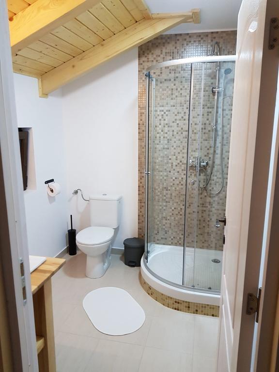 Guest House Carpathia Vişeu de Sus Dış mekan fotoğraf