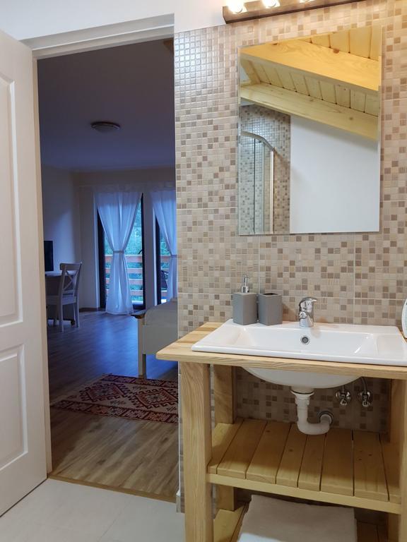 Guest House Carpathia Vişeu de Sus Dış mekan fotoğraf