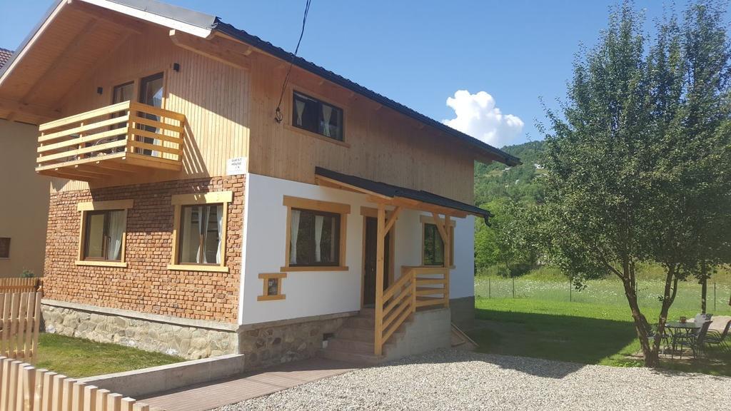 Guest House Carpathia Vişeu de Sus Dış mekan fotoğraf
