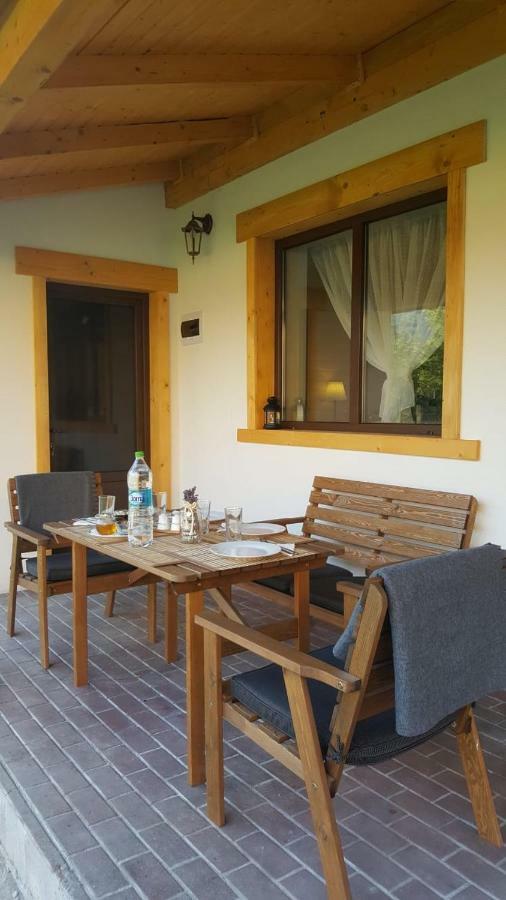 Guest House Carpathia Vişeu de Sus Dış mekan fotoğraf