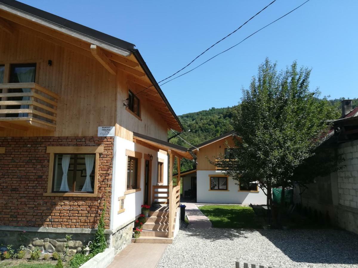 Guest House Carpathia Vişeu de Sus Dış mekan fotoğraf