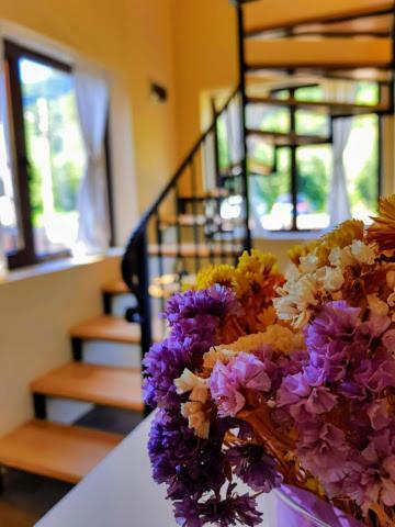 Guest House Carpathia Vişeu de Sus Dış mekan fotoğraf