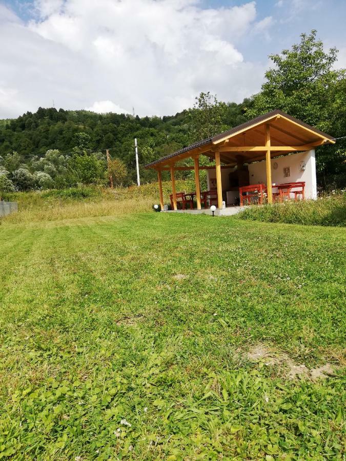 Guest House Carpathia Vişeu de Sus Dış mekan fotoğraf